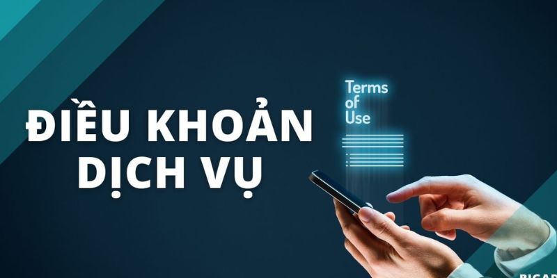 Tìm hiểu về chính sách điều khoản dịch vụ tại nhà cái W88